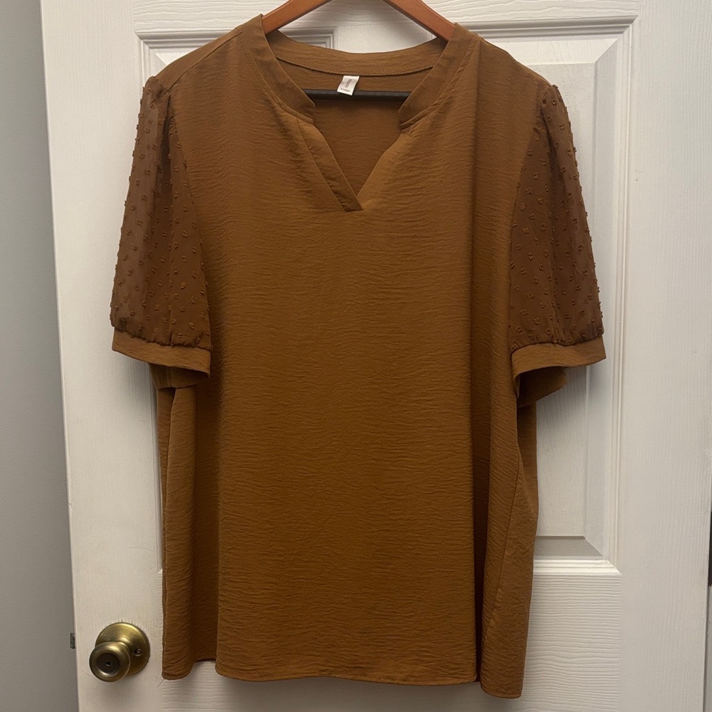 Set of 2 blouses: Caramel Brown and Cream Blouses with Sheer Sleeves